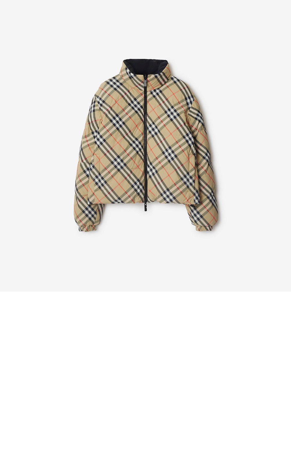 1751075539242.jpg