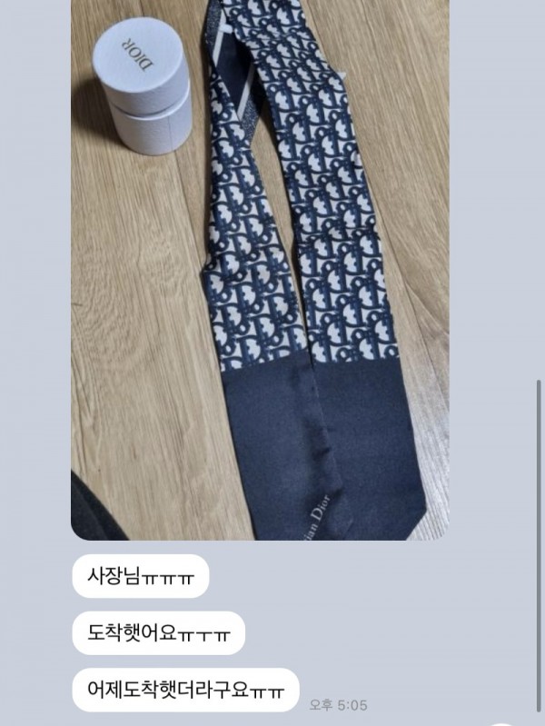 디올 오블리크 미차 .jpg