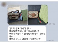 구찌 홀스빗 1955 크로스백 후기.jpg