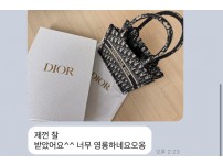 디올 오블리크 북토트백 후기.jpg