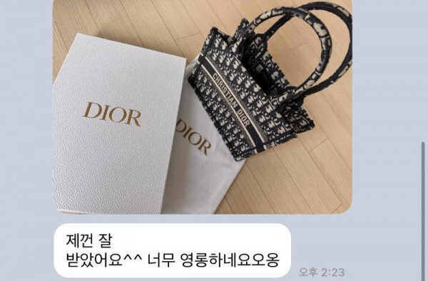 디올 오블리크 북토트백 후기.jpg