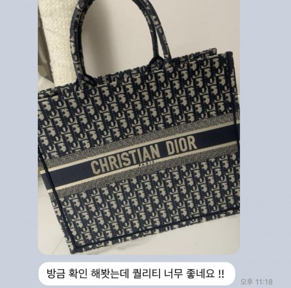 디올 오블리크 북토트백 후기1.jpg
