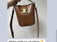 셀린느 루이즈백 후기.jpg
