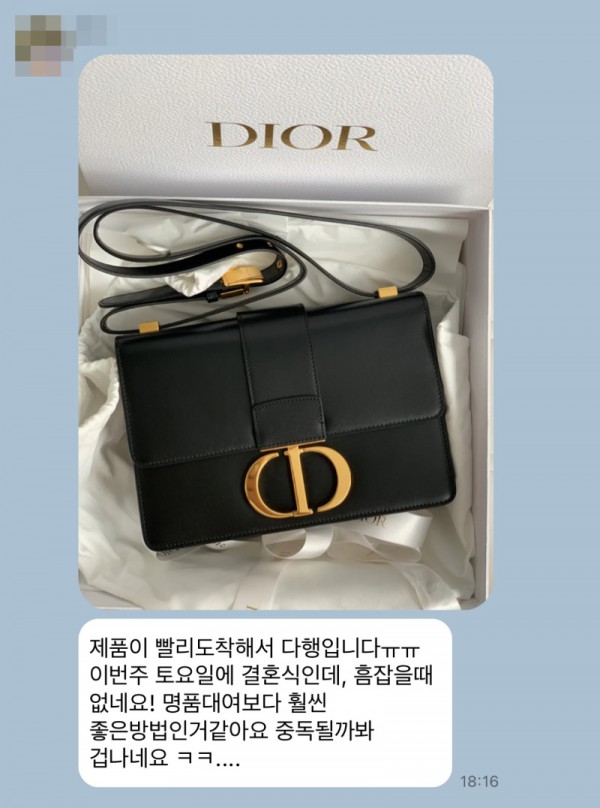 디올 몽테인백 후기.jpg